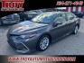 2023 Gray /Black Toyota Camry LE (4T1C11AK2PU) with an 2.5L I4 DOHC 16V engine, Automatic transmission, located at 6812 Atlanta Hwy, Montgomery, AL, 36117, (334) 271-4045, 32.382118, -86.178673 - Recent Arrival!<br><br>Gray 2023 Toyota Camry LE FWD 2.5L I4 DOHC 16V 8-Speed Automatic<br><br>Financing Available---Top Value for Trades.<br><br>28/39 City/Highway MPG - Photo#12