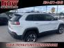 2019 Bright White Clearcoat /Black Jeep Cherokee Trailhawk (1C4PJMBXXKD) with an 3.2L V6 engine, Automatic transmission, located at 6812 Atlanta Hwy, Montgomery, AL, 36117, (334) 271-4045, 32.382118, -86.178673 - Bright White Clearcoat 2019 Jeep Cherokee Trailhawk 4WD 3.2L V6 9-Speed 948TE Automatic<br><br>Financing Available---Top Value for Trades.<br><br>Odometer is 4997 miles below market average! - Photo#10