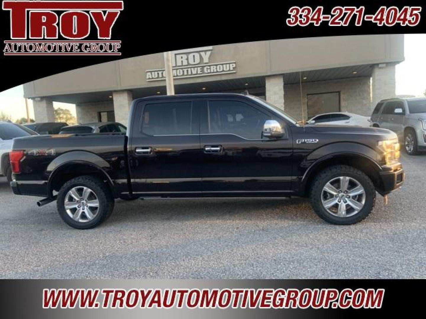 2018 Magma Red /Dark Marsala Ford F-150 Platinum (1FTEW1EG6JF) with an 3.5L V6 engine, Automatic transmission, located at 6812 Atlanta Hwy, Montgomery, AL, 36117, (334) 271-4045, 32.382118, -86.178673 - Photo#9