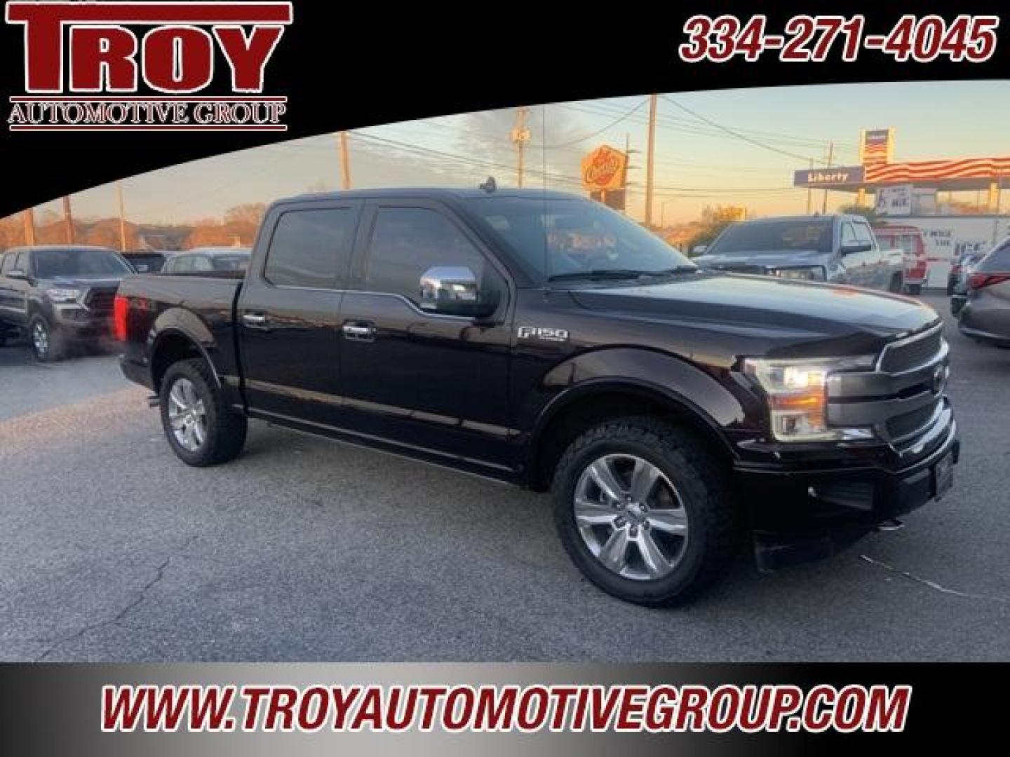 2018 Magma Red /Dark Marsala Ford F-150 Platinum (1FTEW1EG6JF) with an 3.5L V6 engine, Automatic transmission, located at 6812 Atlanta Hwy, Montgomery, AL, 36117, (334) 271-4045, 32.382118, -86.178673 - Photo#15