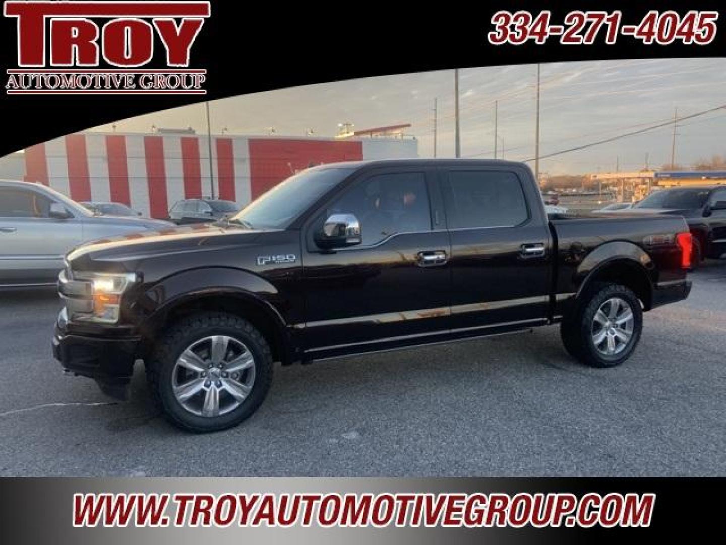 2018 Magma Red /Dark Marsala Ford F-150 Platinum (1FTEW1EG6JF) with an 3.5L V6 engine, Automatic transmission, located at 6812 Atlanta Hwy, Montgomery, AL, 36117, (334) 271-4045, 32.382118, -86.178673 - Photo#18