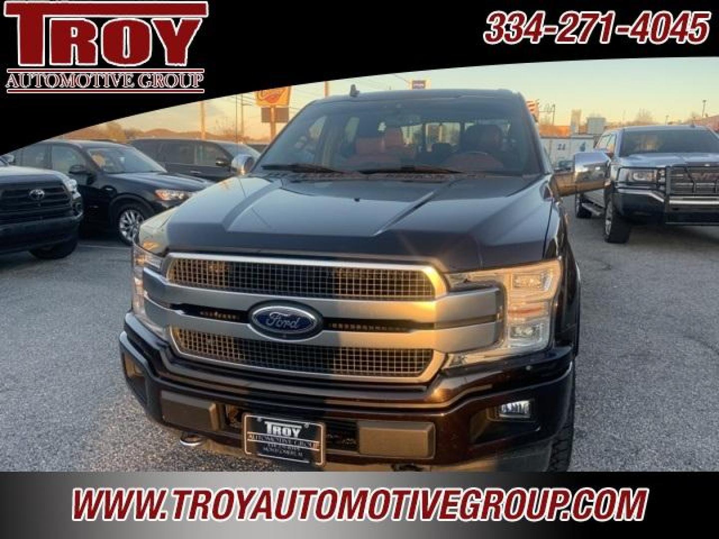 2018 Magma Red /Dark Marsala Ford F-150 Platinum (1FTEW1EG6JF) with an 3.5L V6 engine, Automatic transmission, located at 6812 Atlanta Hwy, Montgomery, AL, 36117, (334) 271-4045, 32.382118, -86.178673 - Photo#5