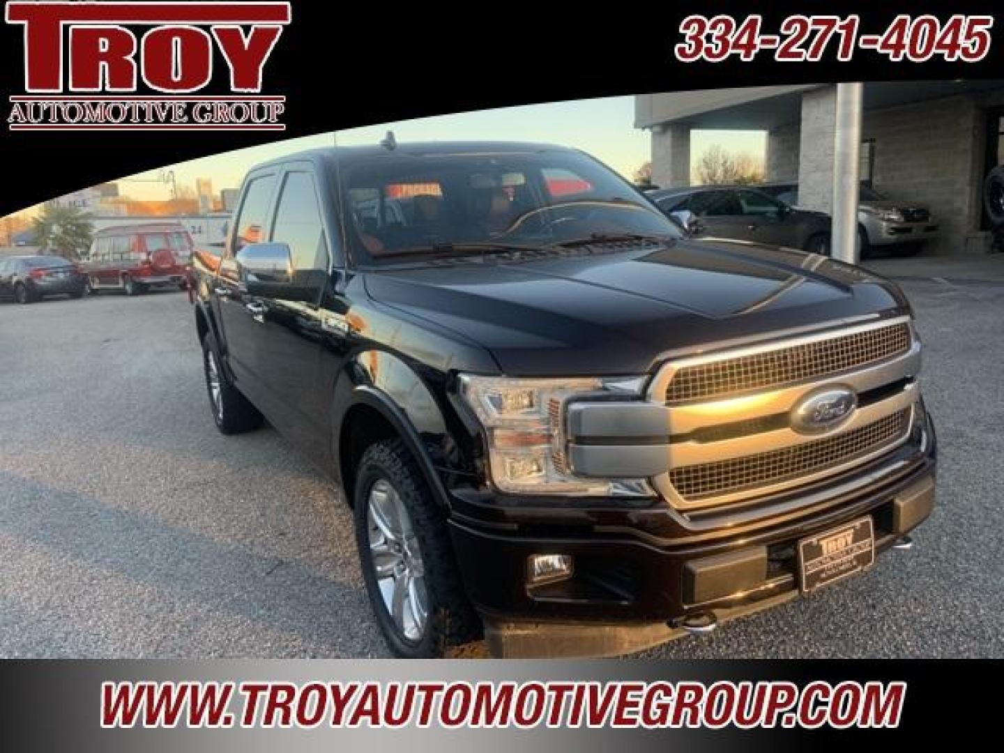 2018 Magma Red /Dark Marsala Ford F-150 Platinum (1FTEW1EG6JF) with an 3.5L V6 engine, Automatic transmission, located at 6812 Atlanta Hwy, Montgomery, AL, 36117, (334) 271-4045, 32.382118, -86.178673 - Photo#7