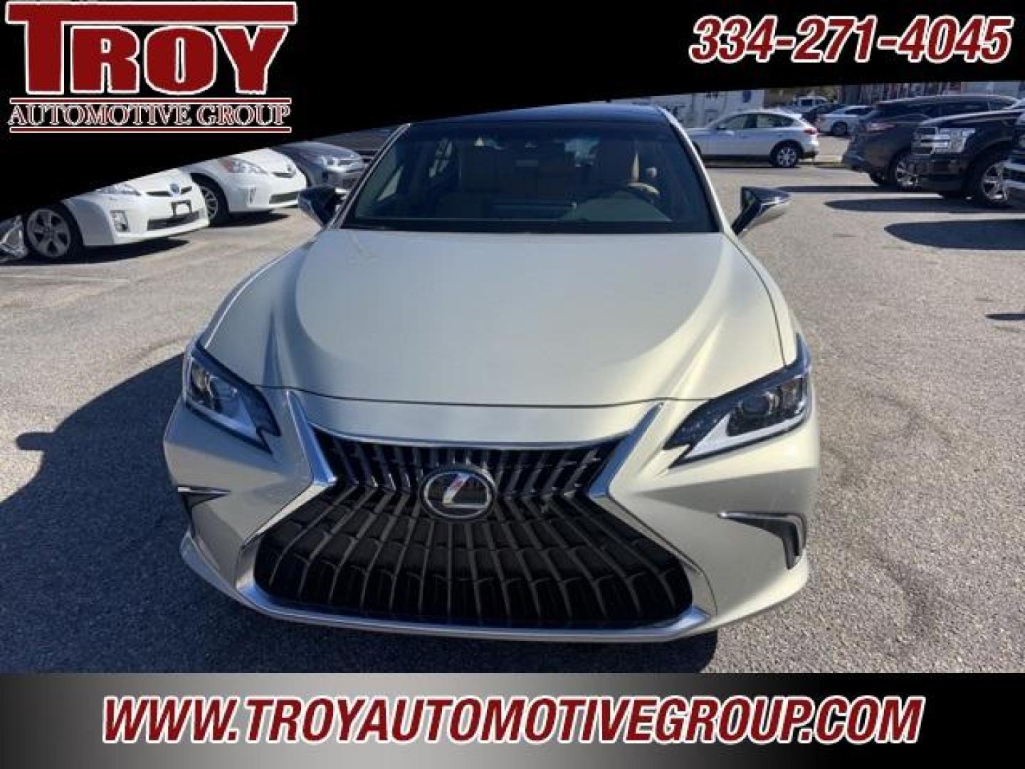 2022 Moonbeam Beige Metallic /Palomino Lexus ES 350 (58ADZ1B11NU) with an 3.5L V6 DOHC 24V engine, Automatic transmission, located at 6812 Atlanta Hwy, Montgomery, AL, 36117, (334) 271-4045, 32.382118, -86.178673 - Photo#6