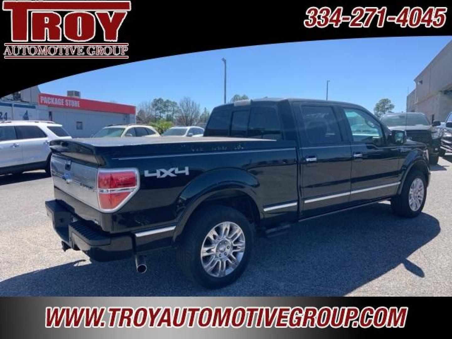 2010 Tuxedo Black /Medium Stone/Stone Ford F-150 (1FTFW1EV4AF) with an 5.4L V8 EFI 24V FFV engine, Automatic transmission, located at 6812 Atlanta Hwy, Montgomery, AL, 36117, (334) 271-4045, 32.382118, -86.178673 - Photo#8