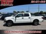 2014 Oxford White /Steel Gray Ford F-150 (1FTEW1CM1EF) with an 3.7L V6 FFV engine, Automatic transmission, located at 6812 Atlanta Hwy, Montgomery, AL, 36117, (334) 271-4045, 32.382118, -86.178673 - Premium Updated 18 Alloy Wheels!!<br>2-Keys!!Recent Arrival! Priced below KBB Fair Purchase Price!<br><br>Oxford White 2014 Ford F-150 XL RWD 3.7L V6 FFV 6-Speed Automatic Electronic<br><br>Financing Available---Top Value for Trades.<br><br><br>Awards:<br> * 2014 KBB.com Brand Image Awards - Photo#2