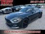 2016 Magnetic Metallic /Ebony Ford Mustang EcoBoost (1FA6P8TH2G5) with an EcoBoost 2.3L I4 GTDi DOHC Turbocharged VCT engine, located at 6812 Atlanta Hwy, Montgomery, AL, 36117, (334) 271-4045, 32.382118, -86.178673 - Recent Arrival!<br><br>Magnetic Metallic 2016 Ford Mustang EcoBoost RWD EcoBoost 2.3L I4 GTDi DOHC Turbocharged VCT 6-Speed<br><br>Financing Available---Top Value for Trades.<br><br><br>Awards:<br> * 2016 KBB.com 10 Coolest New Cars Under $25,000 * 2016 KBB.com Brand Image Awards - Photo#3