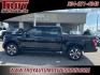 2017 Shadow Black /Black Ford F-150 XLT (1FTEW1EP0HK) with an 2.7L V6 EcoBoost engine, Automatic transmission, located at 6812 Atlanta Hwy, Montgomery, AL, 36117, (334) 271-4045, 32.382118, -86.178673 - 1-Owner!!<br>Sport Package!!<br>Navigation!!<br>Heated Seats!!<br>FX4!!<br>2-Keys w/Remote Start!!<br>Pro-Trailer Back Up!!<br>Dual Power Seats!! - Photo#10