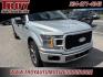 2019 Ingot Silver /Black Ford F-150 XL (1FTEX1CPXKK) with an 2.7L V6 EcoBoost engine, Automatic transmission, located at 6812 Atlanta Hwy, Montgomery, AL, 36117, (334) 271-4045, 32.382118, -86.178673 - Photo#14