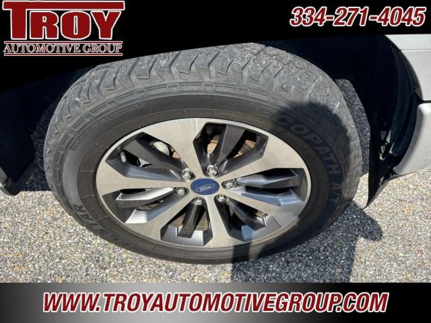 2019 Ingot Silver /Black Ford F-150 XL (1FTEX1CPXKK) with an 2.7L V6 EcoBoost engine, Automatic transmission, located at 6812 Atlanta Hwy, Montgomery, AL, 36117, (334) 271-4045, 32.382118, -86.178673 - Photo#15