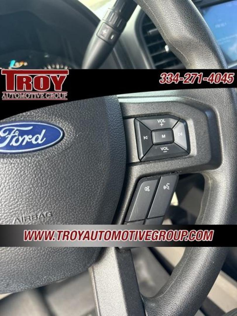 2019 Ingot Silver /Black Ford F-150 XL (1FTEX1CPXKK) with an 2.7L V6 EcoBoost engine, Automatic transmission, located at 6812 Atlanta Hwy, Montgomery, AL, 36117, (334) 271-4045, 32.382118, -86.178673 - Photo#33