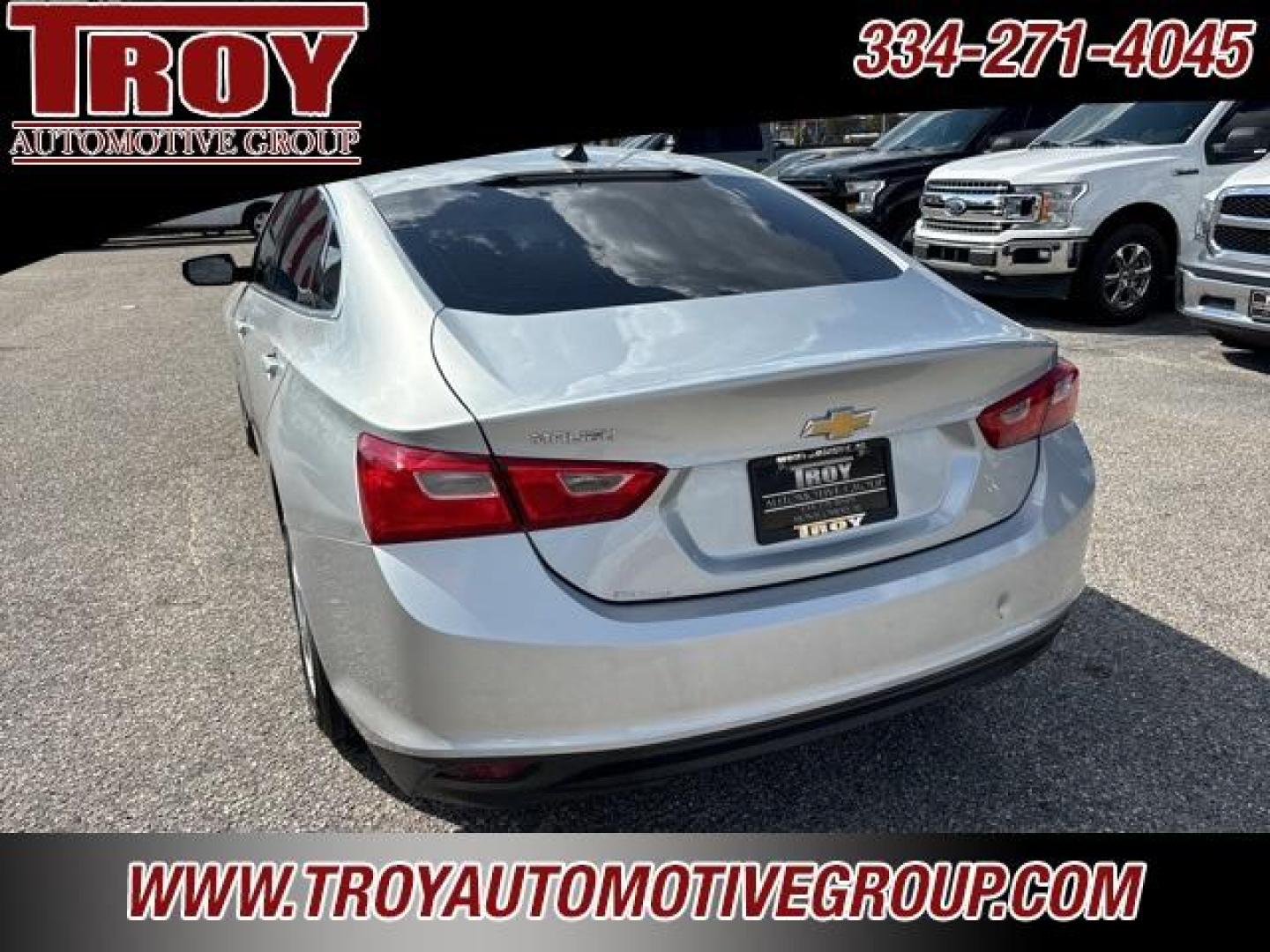 2017 Silver Ice Metallic /Jet Black Chevrolet Malibu LS (1G1ZB5ST8HF) with an 1.5L DOHC engine, Automatic transmission, located at 6812 Atlanta Hwy, Montgomery, AL, 36117, (334) 271-4045, 32.382118, -86.178673 - Photo#13