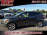 2015 Magnetic /Medium Light Stone Ford Escape Titanium (1FMCU0J91FU) with an EcoBoost 2.0L I4 GTDi DOHC Turbocharged VCT engine, Automatic transmission, located at 6812 Atlanta Hwy, Montgomery, AL, 36117, (334) 271-4045, 32.382118, -86.178673 - Photo#1