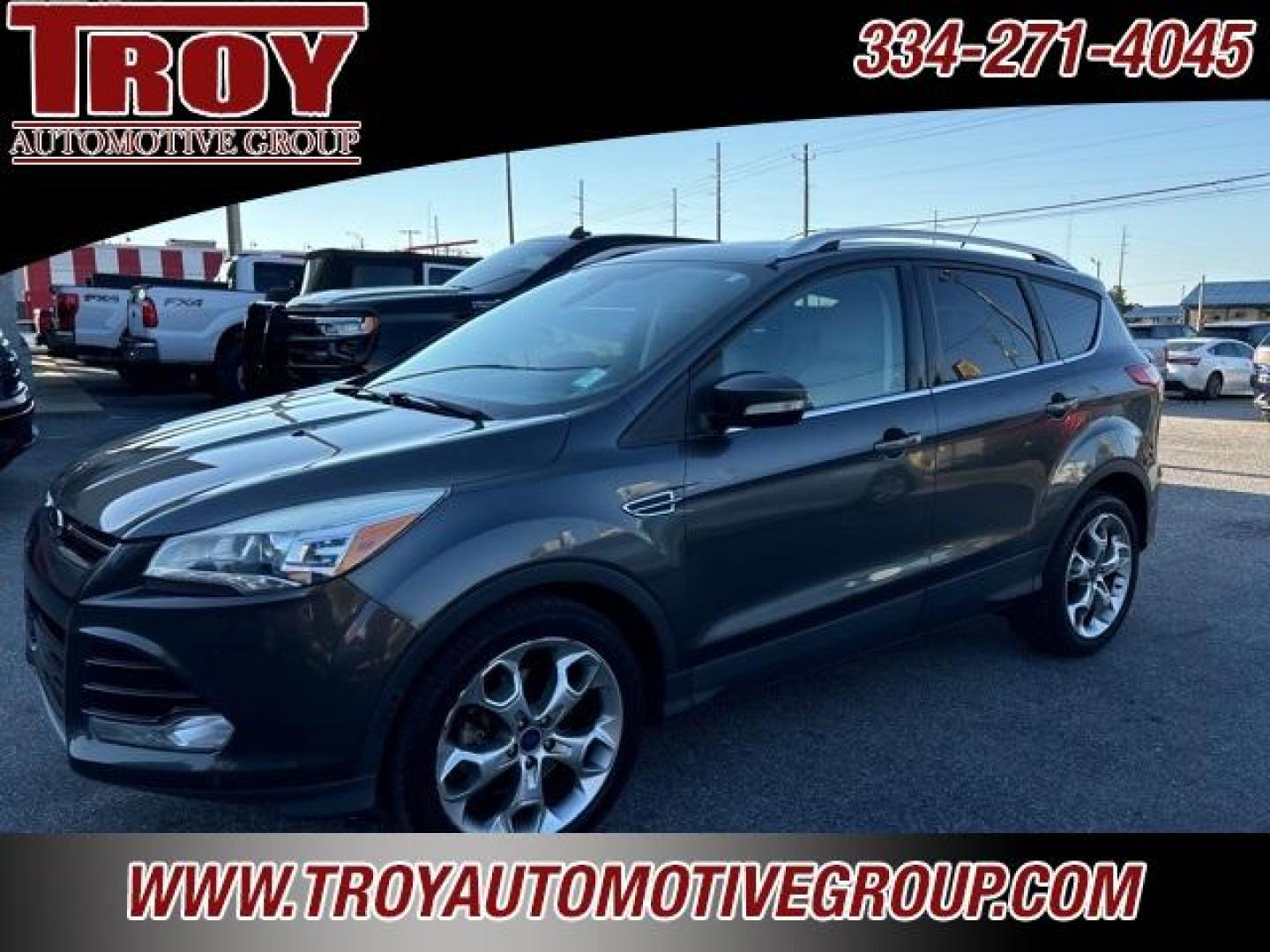 2015 Magnetic /Medium Light Stone Ford Escape Titanium (1FMCU0J91FU) with an EcoBoost 2.0L I4 GTDi DOHC Turbocharged VCT engine, Automatic transmission, located at 6812 Atlanta Hwy, Montgomery, AL, 36117, (334) 271-4045, 32.382118, -86.178673 - Photo#4