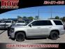 2020 Silver Ice Metallic /Jet Black Chevrolet Tahoe Police (1GNLCDEC9LR) with an EcoTec3 5.3L V8 Flex Fuel engine, Automatic transmission, located at 6812 Atlanta Hwy, Montgomery, AL, 36117, (334) 271-4045, 32.382118, -86.178673 - Police Package!!<br>Dual Front Power Seats!!<br>Tow Package!!<br>2-Master Keys!!<br>Back Up Camera!! - Photo#1