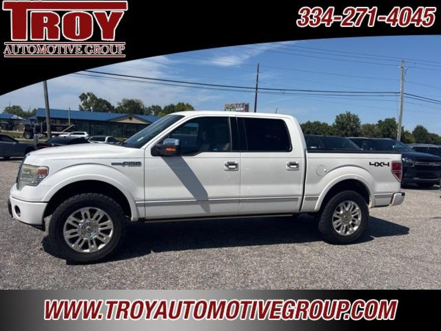 2014 Ford F-150 Platinum