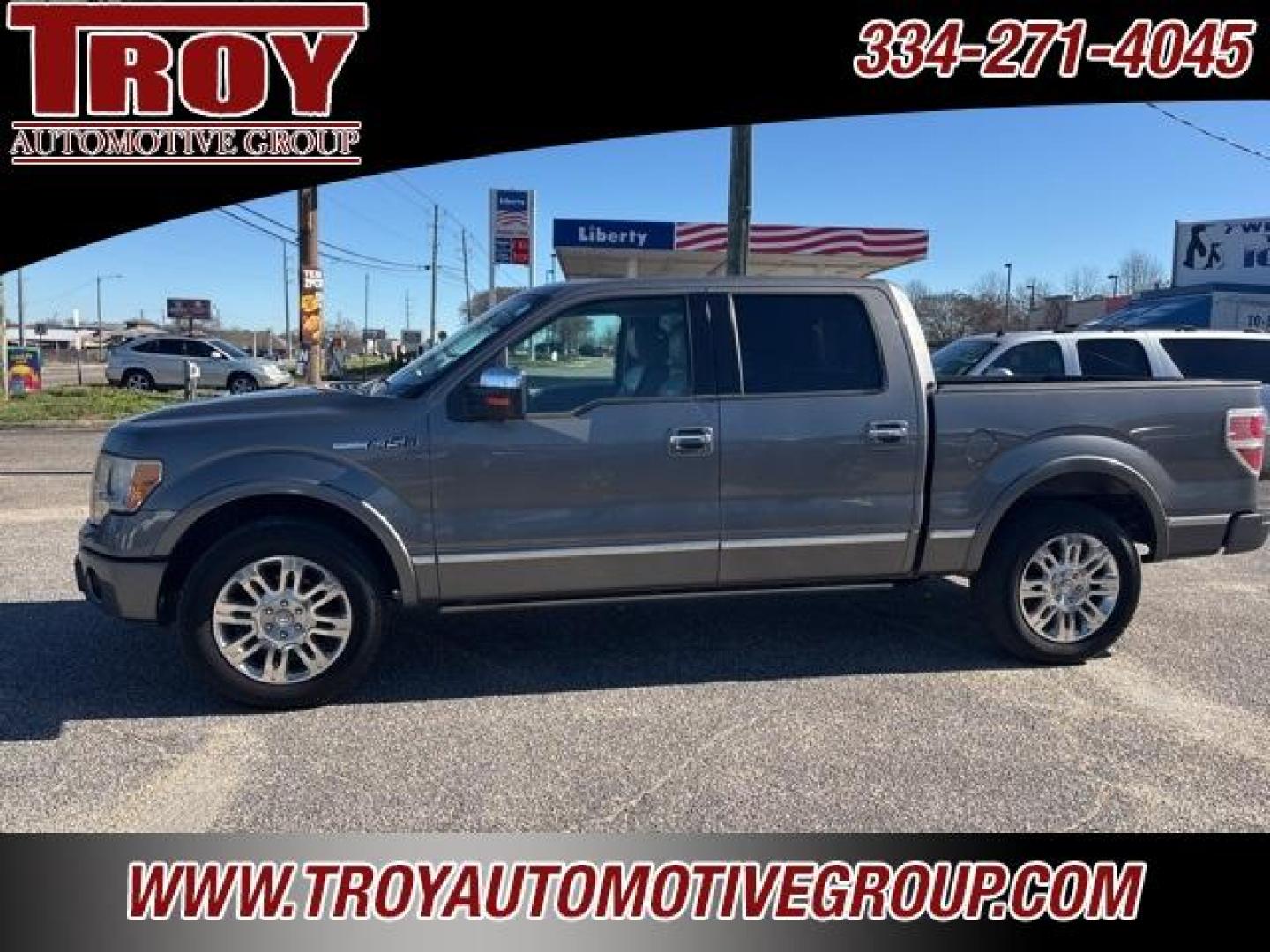 2010 Ford F-150 XL's photo